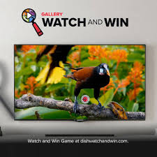 DISH Gallery Watch and Win Contest